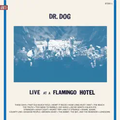 Live at a Flamingo Hotel - Dr. Dog