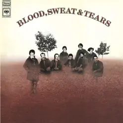 Blood, Sweat & Tears - Blood Sweat and Tears