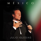 Julio Iglesias - Fallaste Corazón