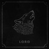 Lobo