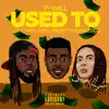 Used To (feat. Troy Ave & Profit Knowledge) - Single album lyrics, reviews, download
