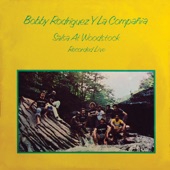 What Happened (Live At Woodstock / Woodstock, New York / 1976) artwork