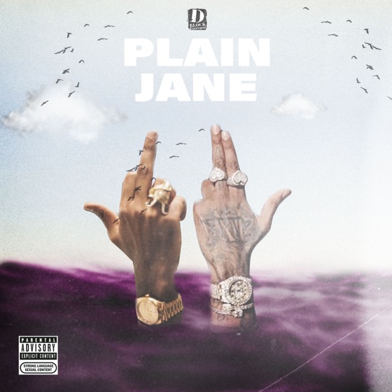 Cover artwork for Plain Jane