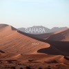 Sahara - EP