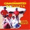 Pena de Amor - Los Caminantes de Zuleta lyrics