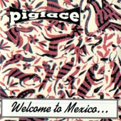 Welcome to Mexico...Asshole artwork