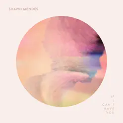 If I Can't Have You - Single - Shawn Mendes