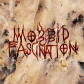 Morbid Fascination artwork