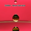 Amor Secreto by Sebbe iTunes Track 1