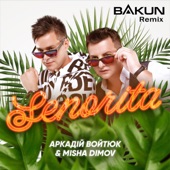 Senorita (Bakun Remix) artwork