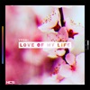 Love of My Life - Single