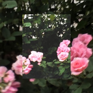 I Wish We Were Better - Single