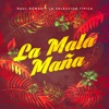 Raul Roman - Popurrí de Bachata Éxitos