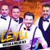 Medley: Kostak / Nolur Hey - Single
