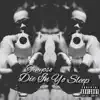 Die in Yo Sleep album lyrics, reviews, download