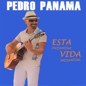 Esta Vida (Radio Edit) artwork