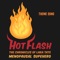 Hot Flash: The Chronicles of Lara Tate Menopausal Superhero (Theme Song) artwork