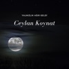 Yalnızlık Ağır Geldi - Single