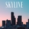 Skyline (8D Audio) artwork