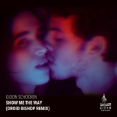 Gidon Schocken - Show Me the Way (Droid Bishop Remix)
