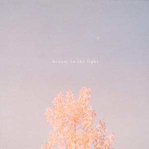 Beauty in the Light (Acoustic) - Single