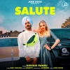 Nirvair Pannu - Salute