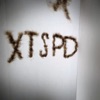 XTSPD - Single, 2018