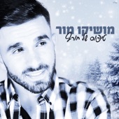 טיפוס של חורף artwork