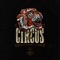 The Circus artwork