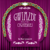 Don Wasyl i przyjaciele (Gwiazdy muzyki cygańskiej) artwork