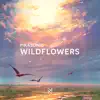 Wildflowers - Single album lyrics, reviews, download