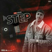 Step artwork