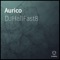 Aurico - DJHallFast8 lyrics