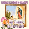 Los Titanes de Nuevo Leon - Regalo de Reyes