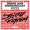 Voices - Dennis Quin & Shermanology lyrics