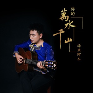 Hai Lai A Mu (海来阿木) - Ni De Wan Shui Qian Shan (你的万水千山) (DJ版) - 排舞 音樂