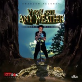 Any Weather artwork