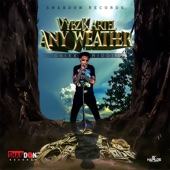 Any Weather (Radio Edit) artwork