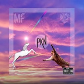 PKN (feat. Mark Fitzy) artwork