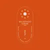 Surefire (Piano) - Single album lyrics, reviews, download