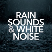 Rain Sounds & White Noise artwork