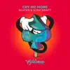 Stream & download Cry No More - Single