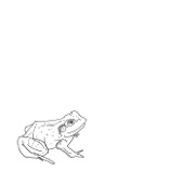 Bull Frogs Croon: iii. Valentine artwork