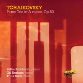 Piano Trio in A Minor, Op. 50: II. Tema con variazioni: Tema (Andante con moto) artwork