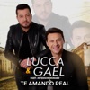 Te Amando Real (Ao Vivo) [feat. Jeferson Moraes] - Single