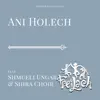 Ani Holech (feat. Shmueli Ungar & Shira Choir) - Single album lyrics, reviews, download