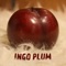 Raincoat - Ingo Plum lyrics