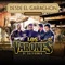 Celos al Viento - Los Varones De California lyrics