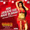 Meri Jawani Hai Made in Bihar (From "Pangebaaz") song lyrics
