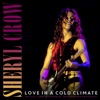 Sheryl Crow - Run Baby Run (Live 1994)